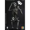 Null 1 12 Palm Elf Series Skeleton Body Silver Ver.