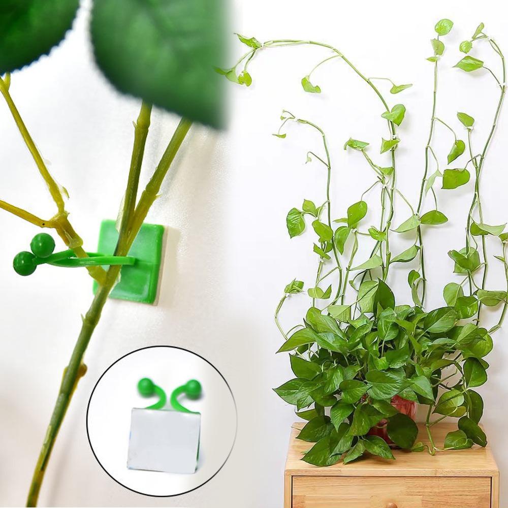 10 /30 /50PCS No Drill Self Adhesive Fixing Clip for Plant Vines Data Cables Holder for Home Office Wire Organization Management