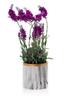 Doniczka Sona Marbling 11 Cm