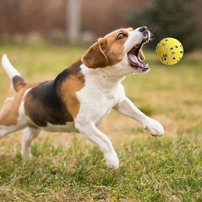 Yousheng Dog Toy Balls Interactive Dog Tennis Ball Indestructible Fetch Toys for Aggressive Chewers Durable Chew Toys Water Toy Outdoor Fun Pet Toy
