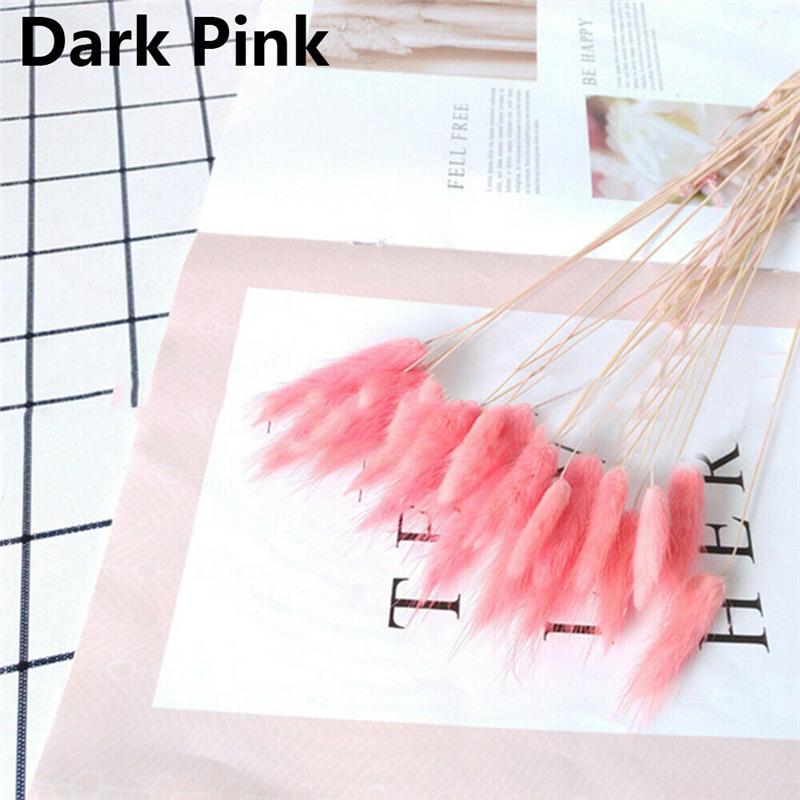 

20 шт. сушеных цветов, заячий хвост, трава, пучок, настоящий букет для реквизита для фотосъемки, цветы, сделай сам, домашний свадебный декор