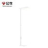 BULL Eye-Protection Full Spectrum Children's Study Floor Lamp