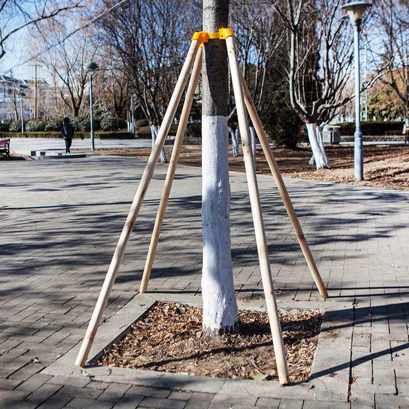 Tree Stabilizing Support Frame for Garden and Landscape