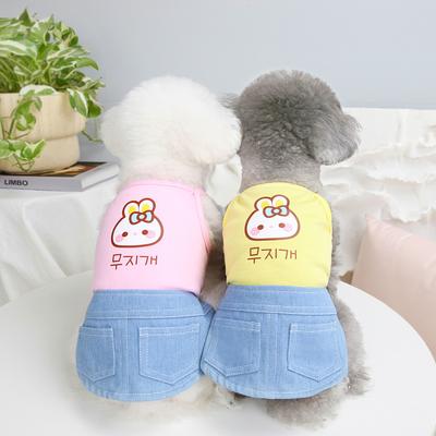İlkbahar ve Yaz Yeni Evcil Hayvan Giysileri Köpek Giysileri İlkbahar ve Yaz Evcil Hayvan Giyim Teddy Etek Kot Cep Etek köpek elbise