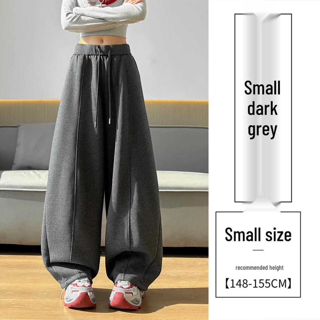Spring 2026 High-Waisted Wide-Leg Pants - Slimming Loose Straight Casual Two-Wear Floor-Length for Women