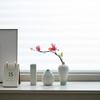 White Vase Desktop Flower Arrangement Table Hydroponics Green Plant Flower Decorative Flowerpot Decorations Home Decor Vases