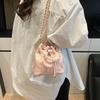 Casual Simple Niche Design Bag Women's 2025 Spring New Fashion Trend Bucket Bag Shoulder Messenger Bag