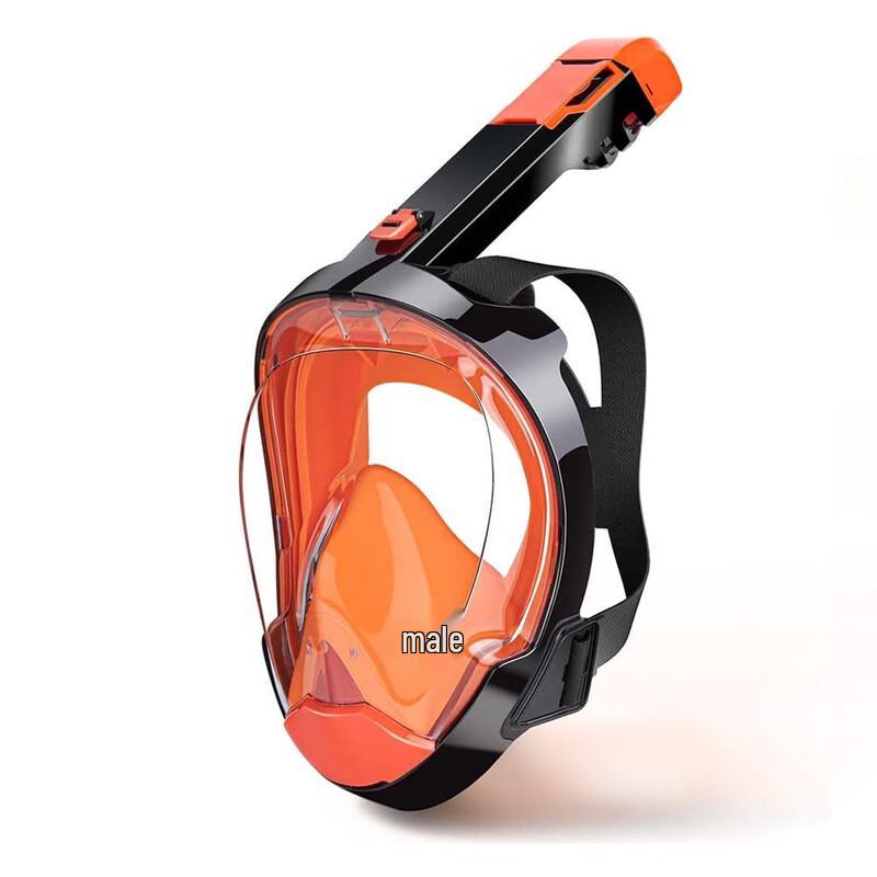 Pulia Panoramic Snorkel Mask