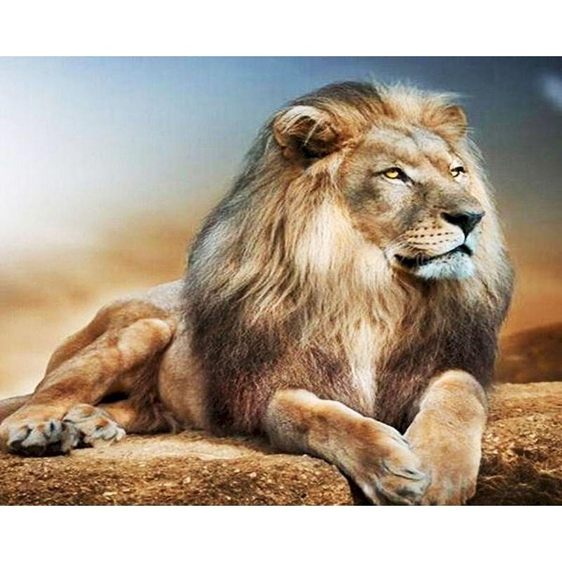 5D diamantová malba Lion Tiger Plné Kulaté Diamantové vyšívání Zvířátka Diy Barevný křížkový steh z kamínků Mozaika Umění