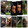 Lustiger Entspannungs-Braunbär-Case für Samsung Galaxy A13 A51 A71 A41 A31 A21S A11 A03S A12 A32 A52 A22 A23 A33 A53 A73 5G Hülle