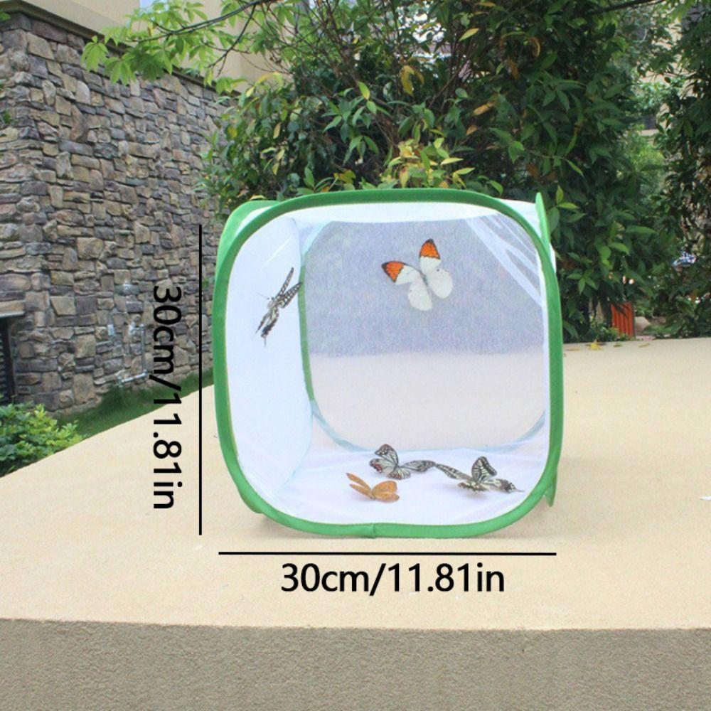 Collapsible Butterfly Habitat Pop-up Protection Net Durable Insect Cage