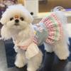 Pet Spring and Summer Thin Strap Skirt Set Dopamine Style Lace Lace Dress Small Fly Sleeve Bottoming Shirt