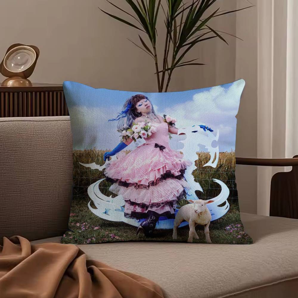 J-Jazmin B-Bean Pillow Case Anti-dustmite Pillowcase Invisible zipper silky short plush Sofa cushion cover