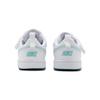 Nike Court Borough Low Recraft TD 'White Jade Ice' DV5458-102
