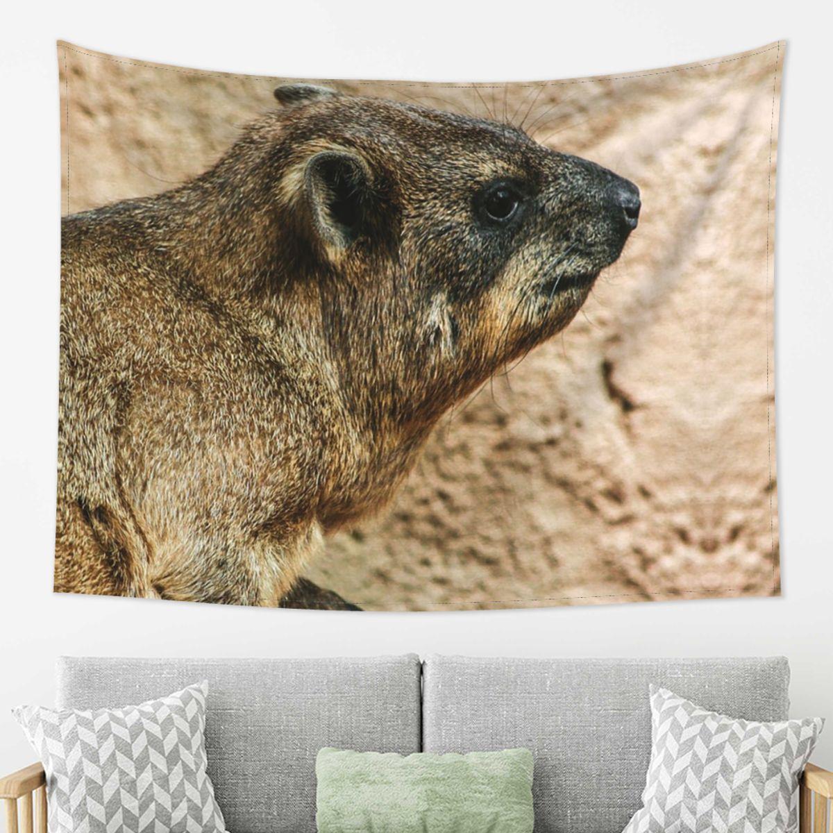 

Rock Hyrax Tapestry Wall Hanging Aesthetic Home Decoration Tapestries for Living Room Bedroom 74x94cm(29x37in)