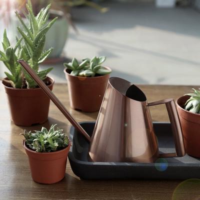 Stylish Stainless Steel Long Spout Watering Can: For Indoor And Outdoor Plants