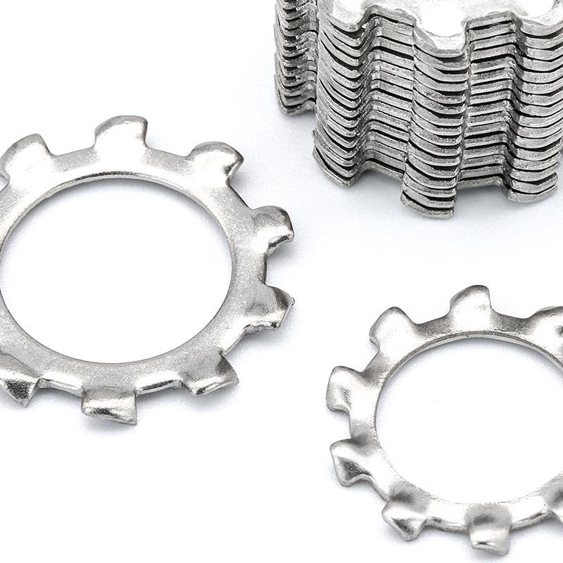 Set di Rondelle Dentate Esterne in Acciaio Inossidabile 304