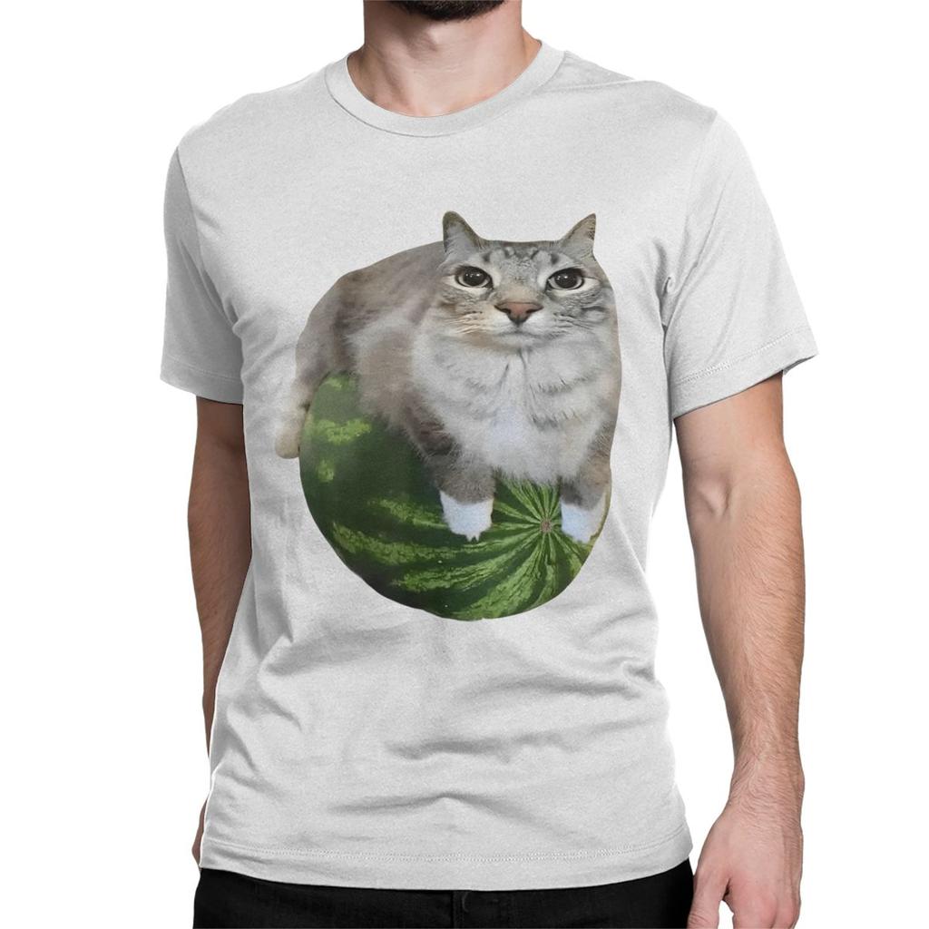 Watermelon Cat Silly T Shirt for Men Women 100 Cotton TShirt Round Collar Funny Meme Tee Shirt Short Sleeve Clothes Plus Size