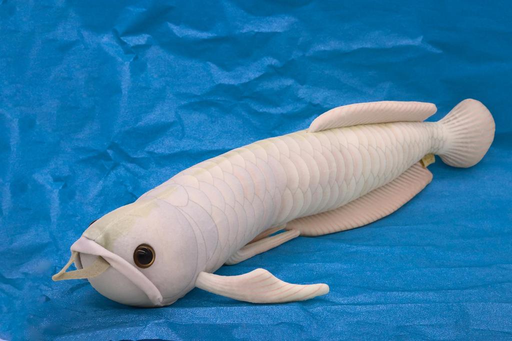 Take Off Silver Arowana Realistic Cute Fish Series