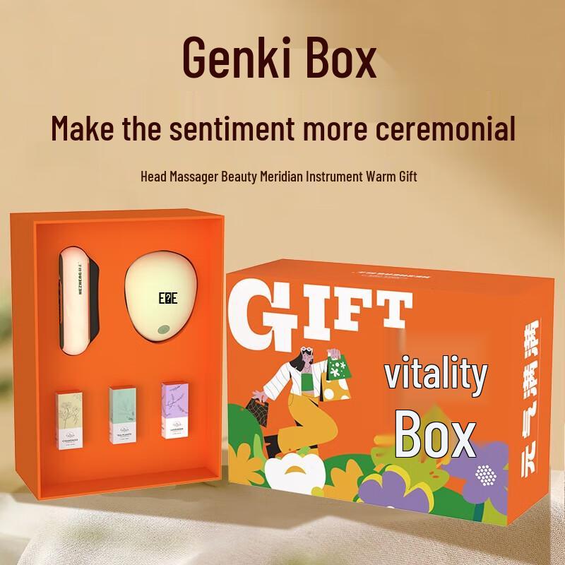 Hezheng Vitality Box Head Massager Gift Set