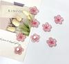 Set of 8 Creative Cherry Blossom Refrigerator Magnets with Magnetic Backing Decorative Floral Fridge Magnets for Home Kitchen Office Use