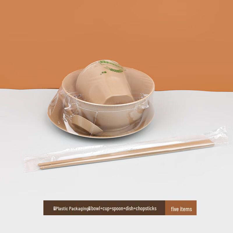 Shixun Disposable Food-Grade 5-Piece Tableware Set