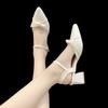 Baotou Sandals Women's Spring 2025 New Lady with Skirt Fairy Wind Medium Heel Thick Heel Pointed Single Shoes High Heel