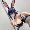 High School D×D HERO Rias Gremory Himejima Akeno Bunny Girl Figure PVC Action Anime Model Game Statue Adult Collectible Doll Toy