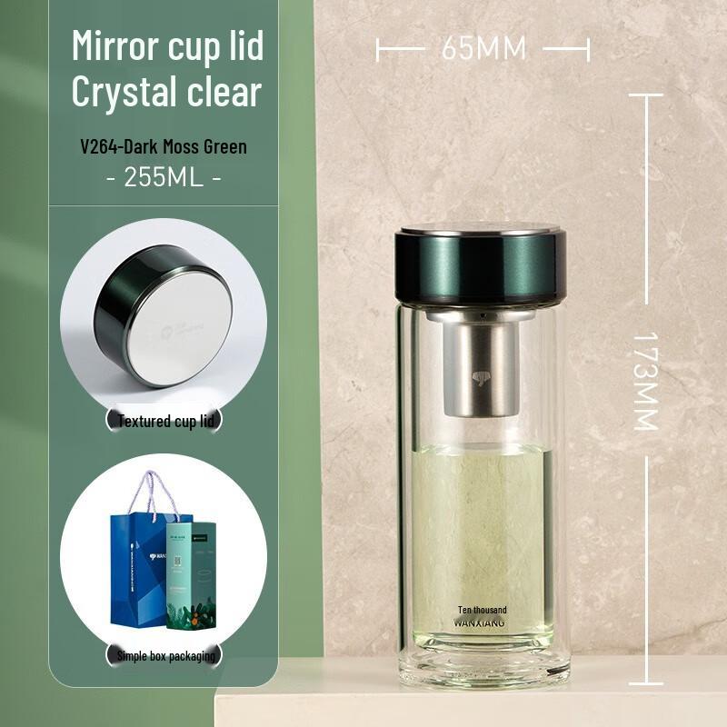 Portable Double-Layer Glass Tea Infuser Bottle with Filter