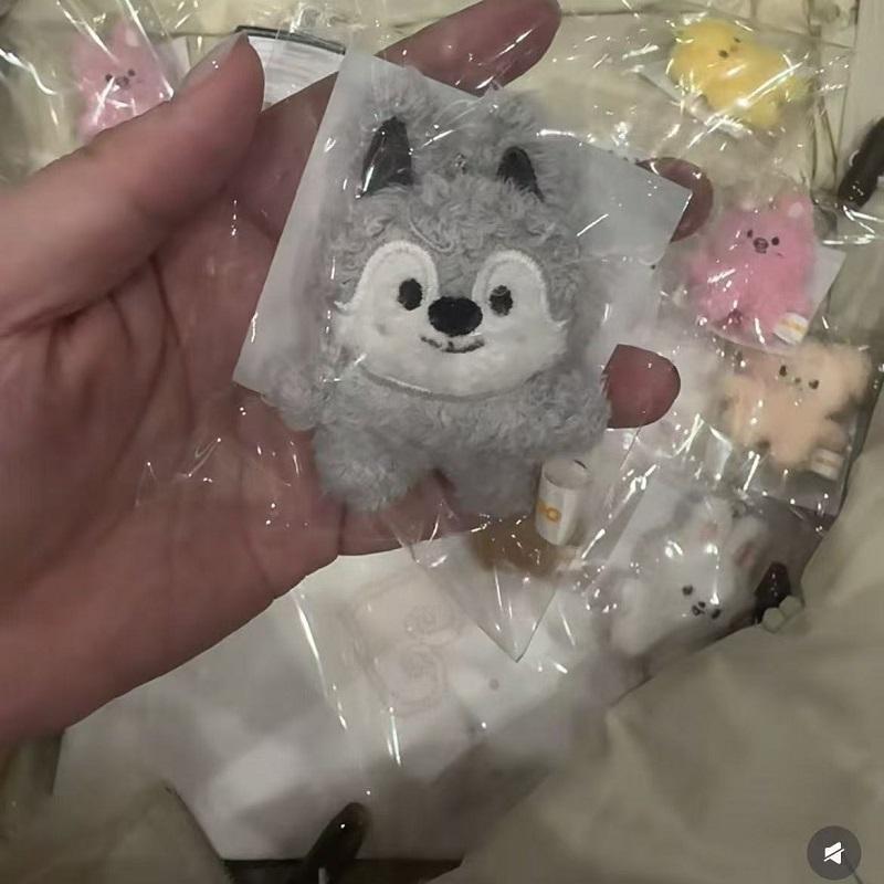 Keychain Plush Skzoo Plush Toy Korean Idol Boy New Cartoon Cute Pendant Toy Fan Collection Gift Children'S Gift