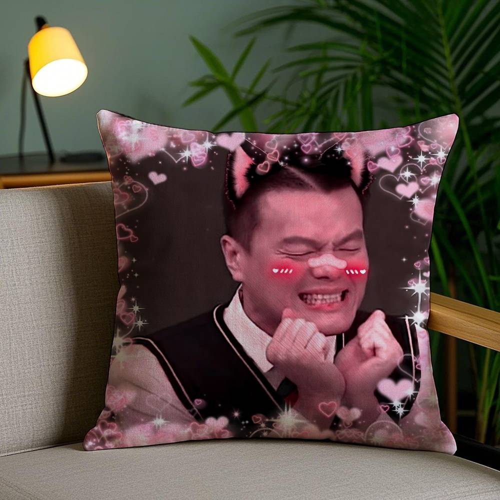 Funny J-JYP Meme Pillow Case Office Sofa Dorm Chair Back Short Plush Double-sided Printing Home Cushion Cover