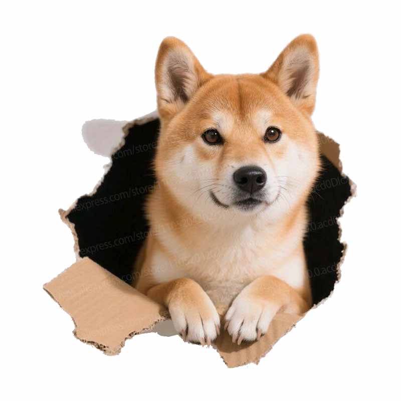 1pc Cute 2D Flat Puppy Sticker Realistic Dog Peeking Design Decal for Car Truck SUV Window and Body Decoration