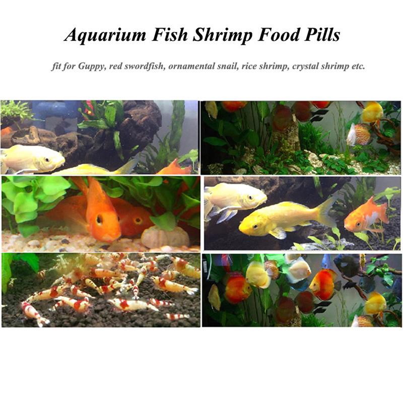 algae tablets for fish tank