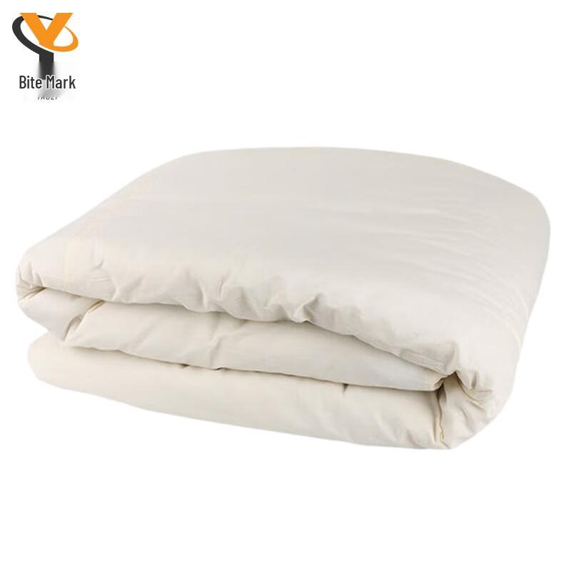 Dormitory Student Mattress Quilt