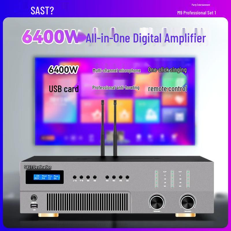 SAST All-in-One Home KTV System with 12-inch Speakers & Karaoke CN Plug (adapter Included)