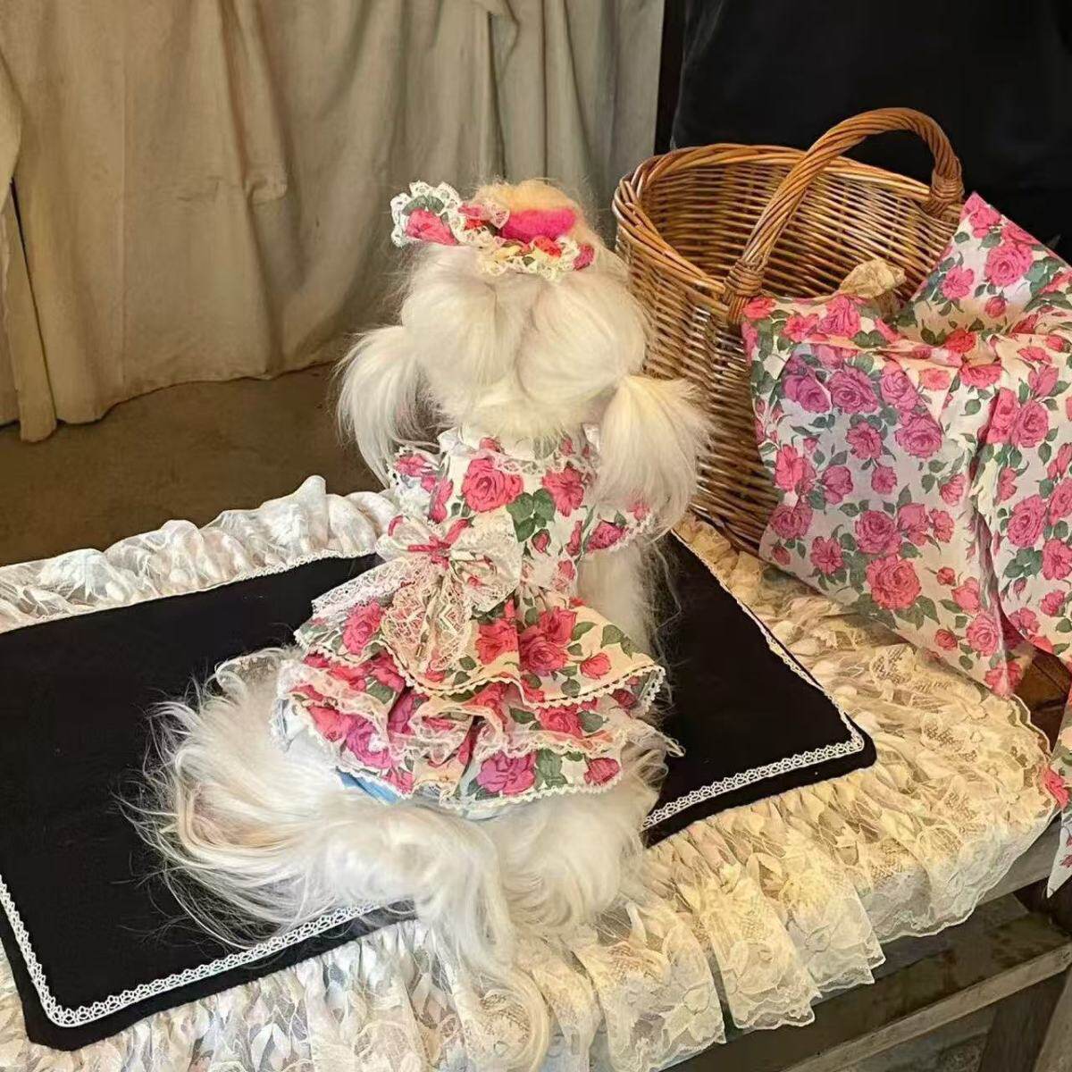 

Lace Pet Dog Dress - Princess Style Outfit,Spring Floral Printing Tutu For Small Dog,Ideal for Puppy Birthday Party & Daily Wear XS