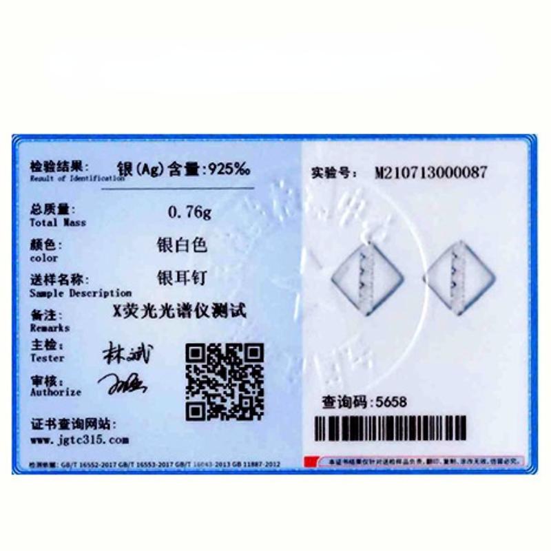 Tancise 925 Sterling Silver Zircon Earrings Drop Earrings For Women Wedding Party Gifts