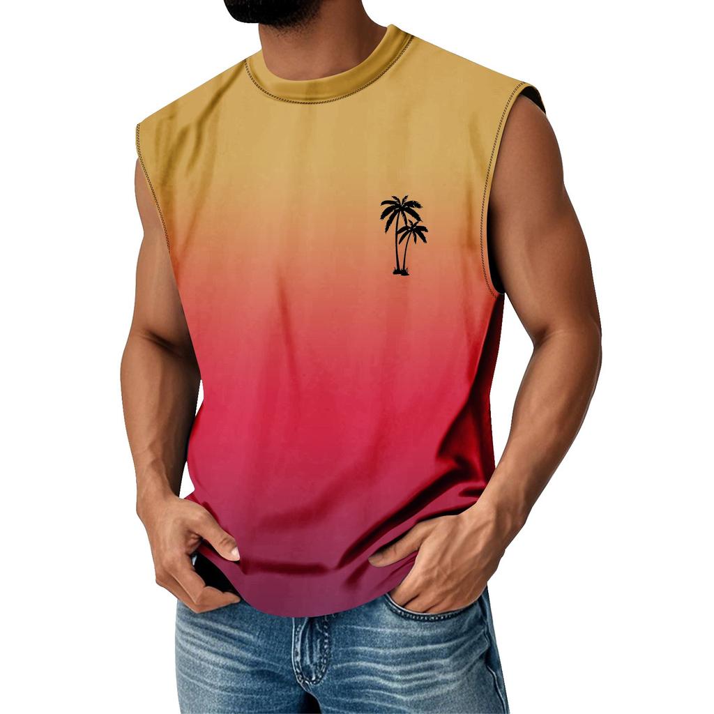 Gilet Estivo da Uomo Girocollo Sfumato Sportivo Casual Senza Maniche