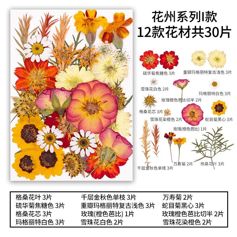 Natural Dried Flowers Pack For Diy Resin Pressed Flower Art
