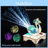 Science Experiment Fiber Optic Peacock Kit With Diy Electric Components For Childrens Educational Fun