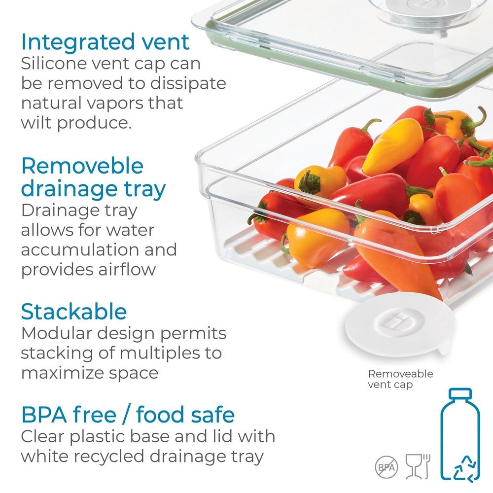 Large Clear Produce Storage Bin with Removable Tray Airtight Lid Space Saving Fridge Freezer Pantry Vegetable Organizer