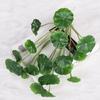 Artificial Leaves Lifelike 18 Branches Deformation Proof Decorative Fake Begonia Leaves Plants For Home Garden Porch Window