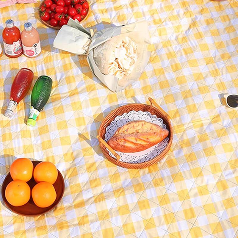 Caigan Thickened Picnic & Camping Mat
