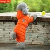 British Style Waterproof Cotton Coat for Small Dogs - Warm Four-Legged Winter Clothing for Pomeranians and Teddy Breeds