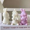 3D Valentine's Day Cartoon Bunny Candle Mold DIY Holding Heart Rabbit Handmade Aroma Candle Plaster Ornament Molds