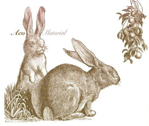 

CD ACO - материал KSC2385 Ki/oon 2001 Япония Танцевальная и Электронная Музыка Б/у