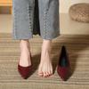 2025 Spring Vintage Pointed Toe Women Heel Shoes Thick Heel Shoes Concise Short Botas De Mujer