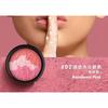 MARIE DALGAR - Three-color Matte Blusher (1-2)