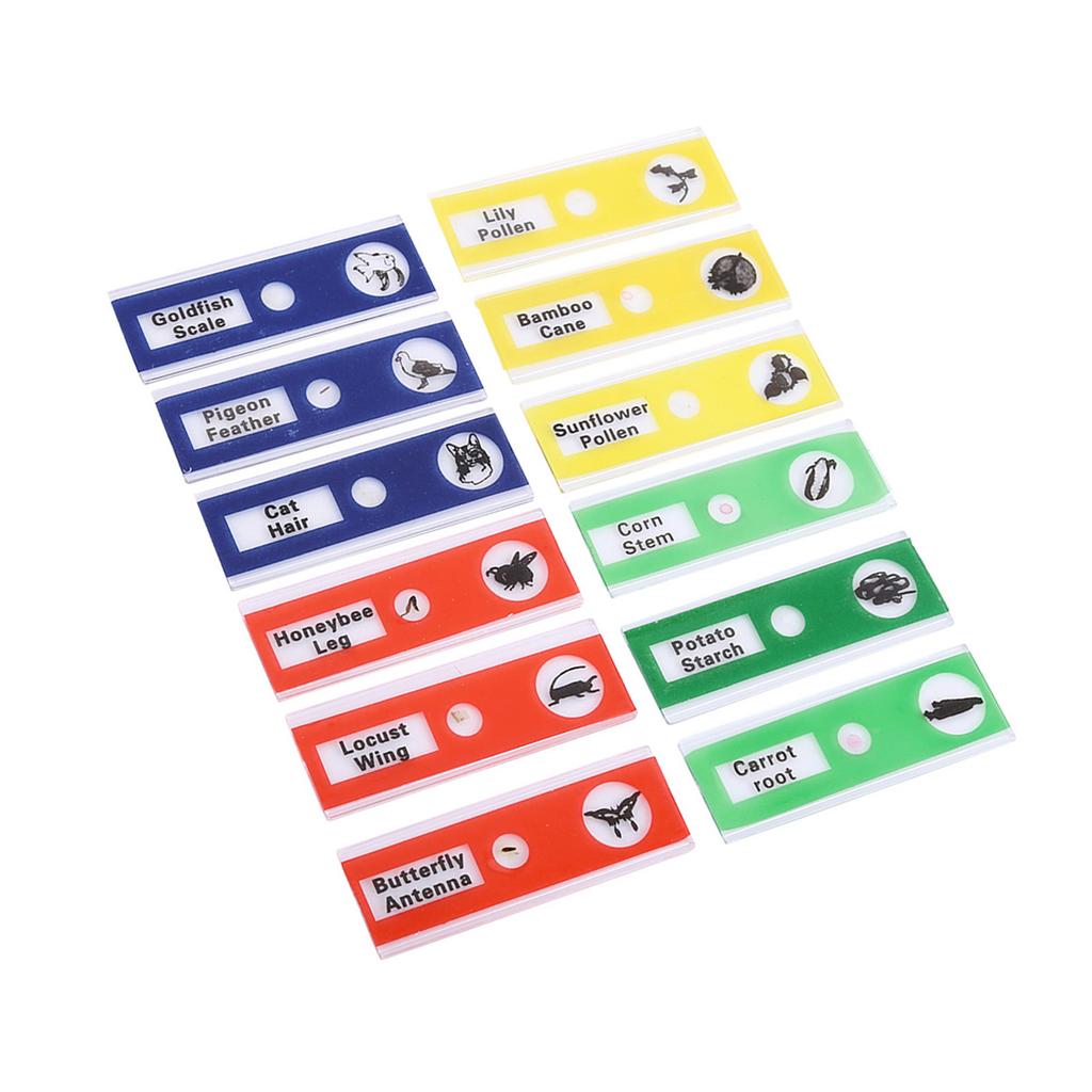 12pcs Plastic Prepared Microscope Slides Animals Insects Flowers Plants Mix Color