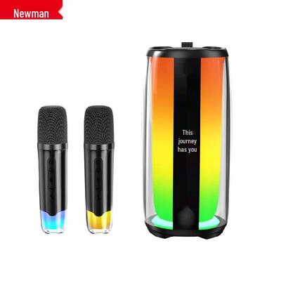 Newmine K19 Portable Bluetooth Karaoke Speaker with Dual Microphones CN Plug (adapter Included)